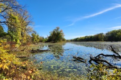 Brick Pond in Fall