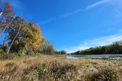 Brick Pond