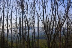 IMG_2067s