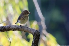 IMG_1493cr