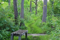 Northward path