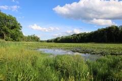 View from the berm