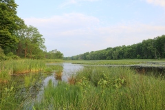 Peaceful