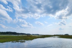 Big sky