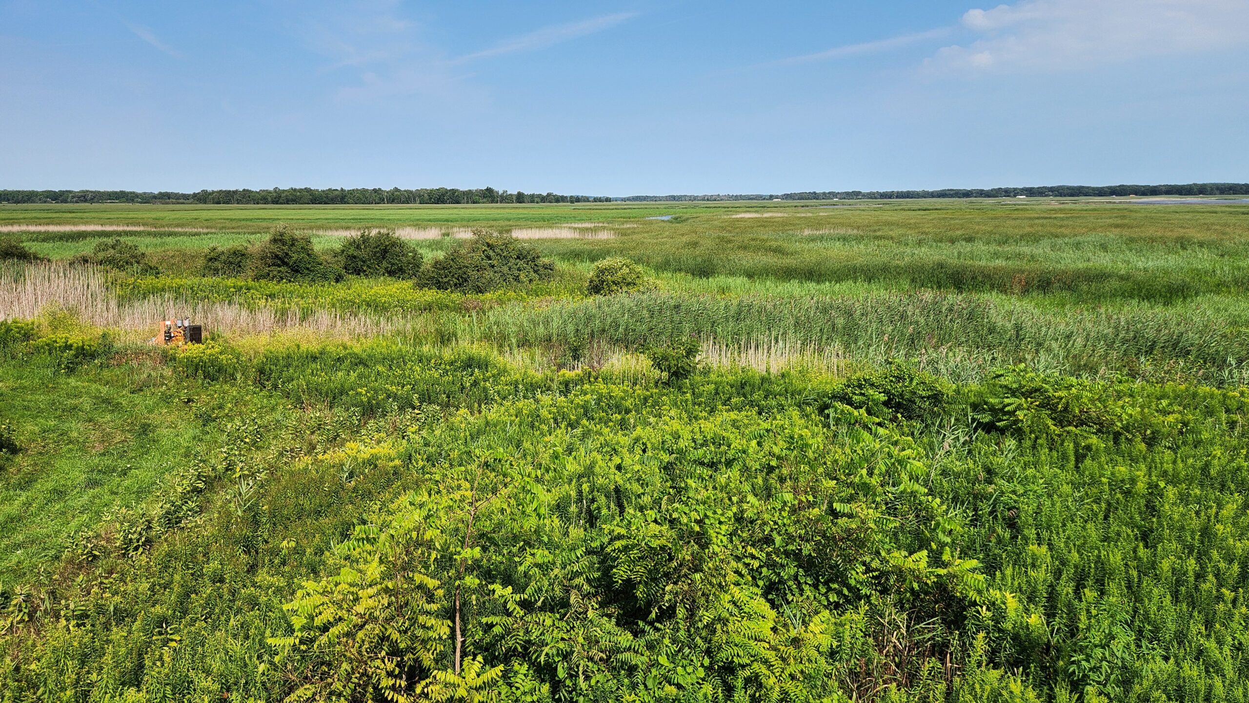 View from the observation tower