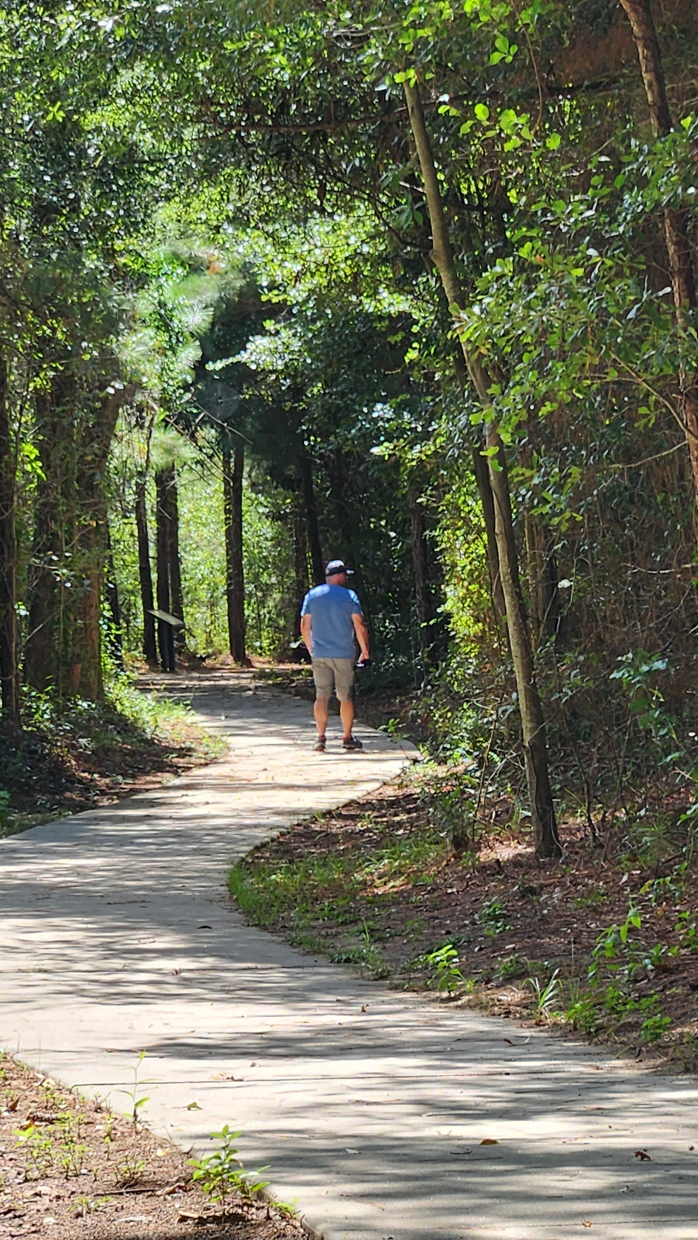 Walking