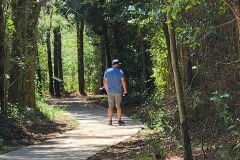 Walking