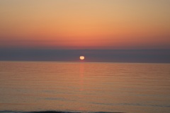 obx1