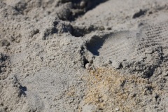 obx20