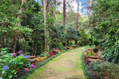 Elizabethan Garden Path