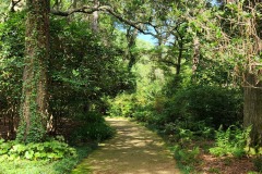 EG Path 2