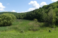 P1000262
