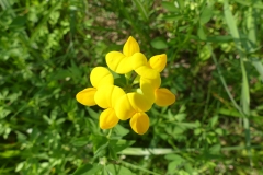 P1000264