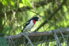 P1000298