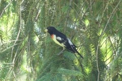 P1000319