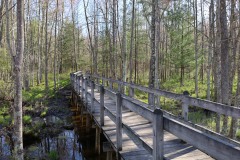 Bridge 2