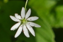 P1070771