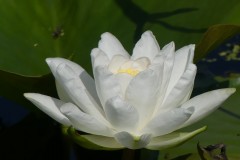P1070776