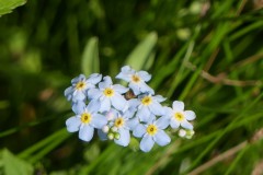 P1070777